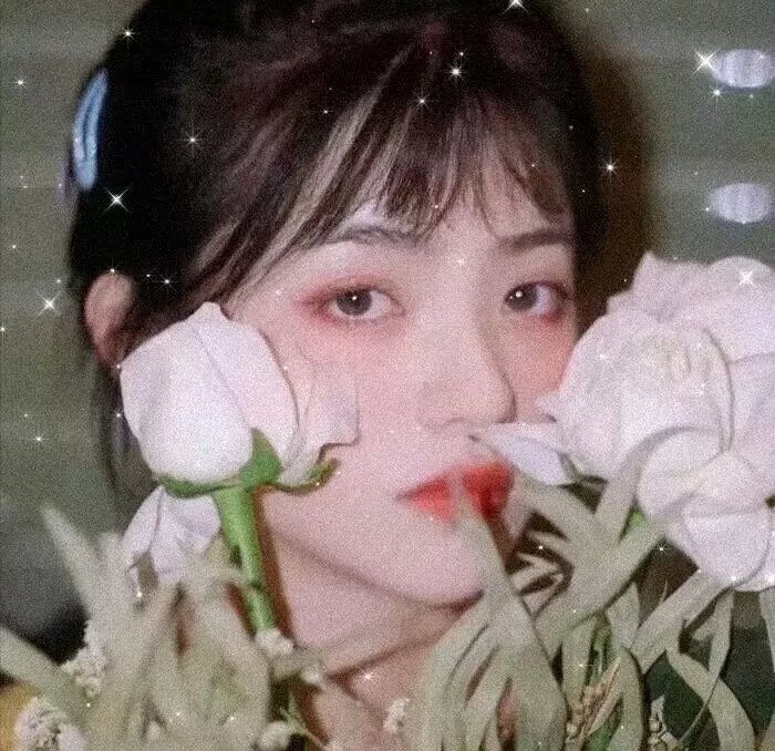 独活女子的推荐第四季