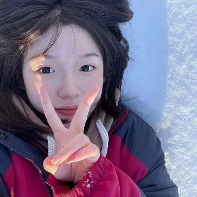 雪鹰